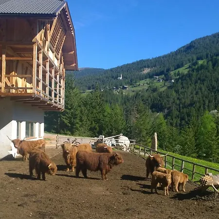 Puciacia - Bauernhof